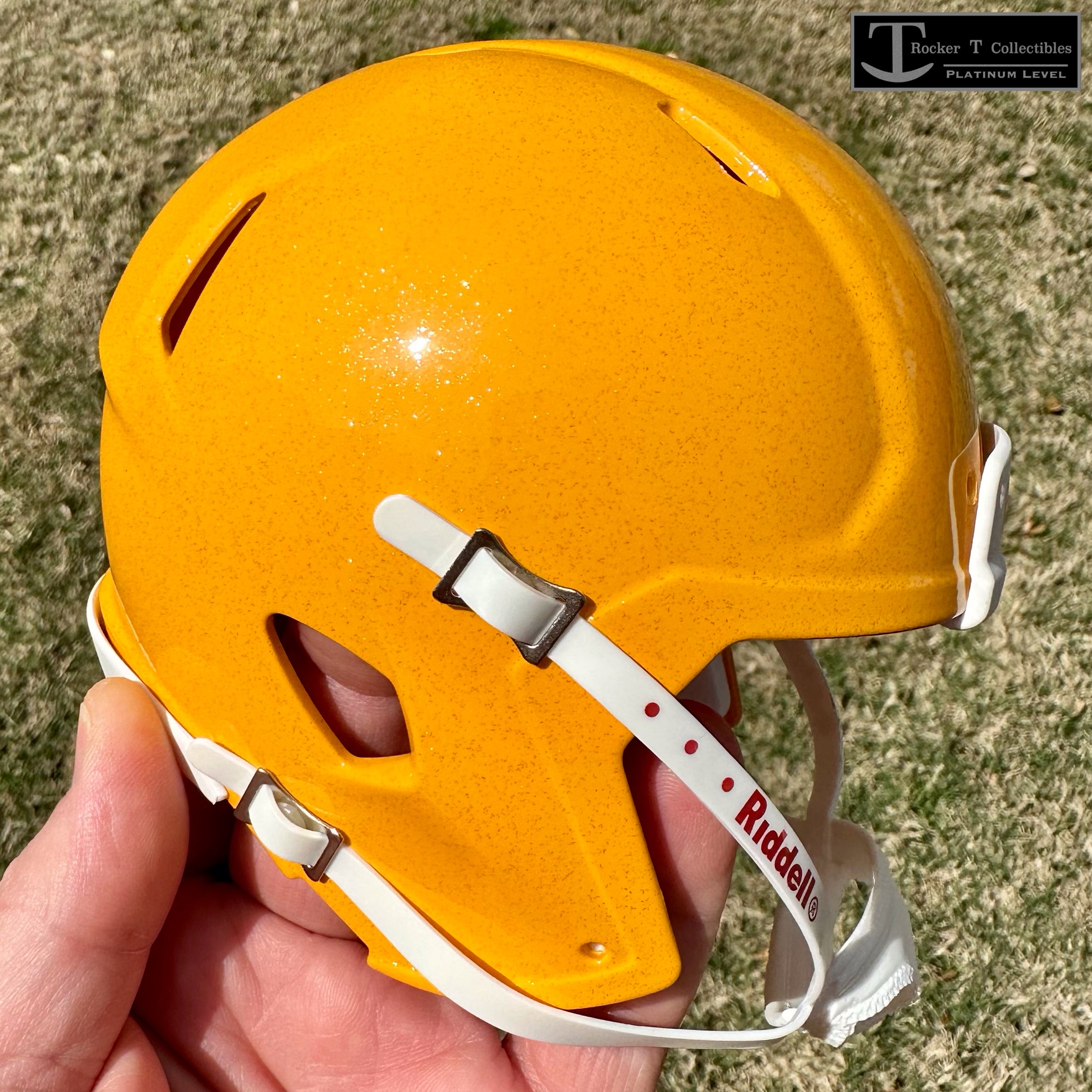 Mini Football Helmet Shells - Platinum Level | Riddell Quality